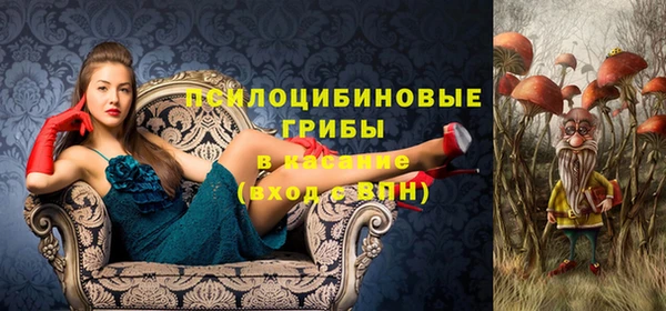 таблы Козельск