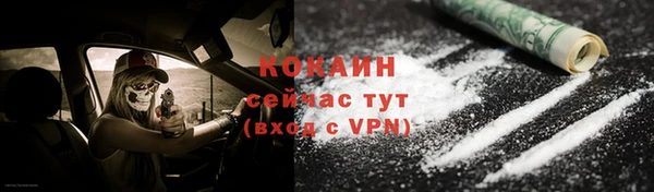 таблы Козельск