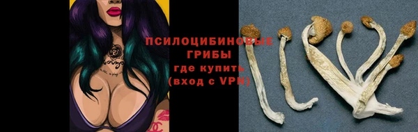 меф Кодинск