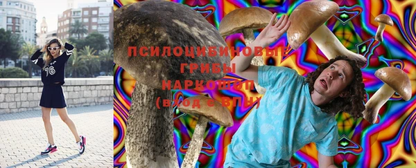 амфетамин Козловка