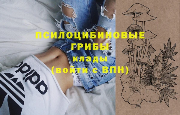 таблы Козельск