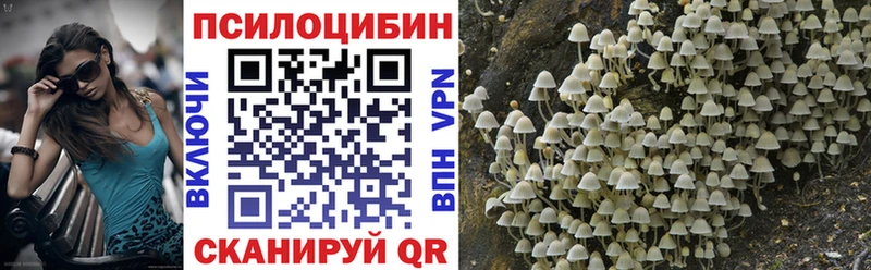 Купить где  Каспийск  Галлюциногенные грибы прущие грибы 